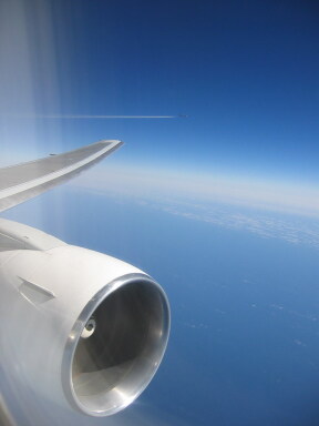 IMG8709resize_Vye.jpg