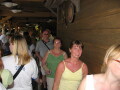 IMG8822resize_Vye.jpg