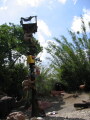 IMG8825resize_Vye.jpg