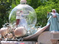 IMG8842resize_Vye.jpg