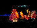 IMG8873resize_Vye.jpg