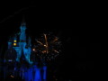 IMG8882resize_Vye.jpg