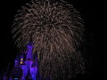 IMG8902resize_Vye.jpg