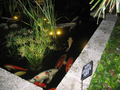 IMG2114_Zn.jpg