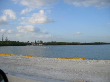 IMG8938_Zn.jpg