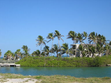 IMG8951_Zn.jpg