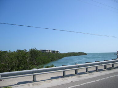 IMG8956_Zn.jpg