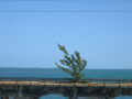 IMG8959_Zn.jpg