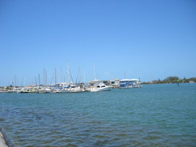 IMG8970_Zn.jpg