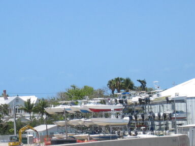 IMG8973_Zn.jpg