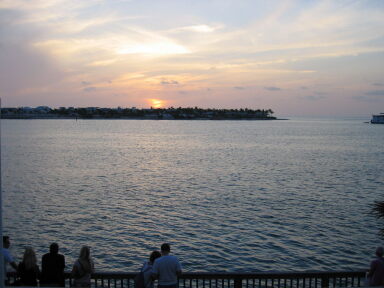 IMG8991_Zn.jpg