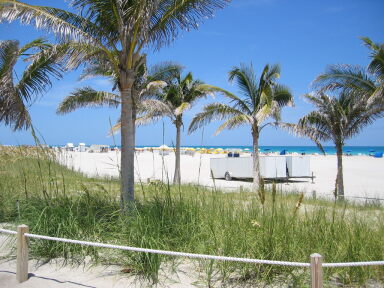 IMG9049_Zn.jpg