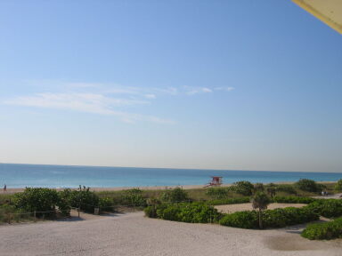IMG9065_Zn.jpg