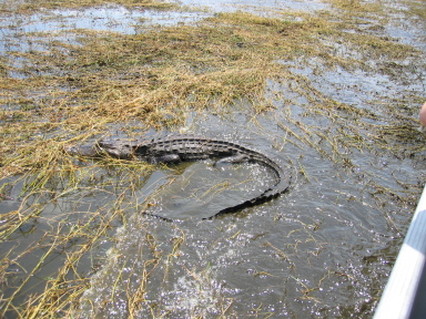IMG9109_Zn.jpg