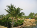 IMG9185_Zn.jpg