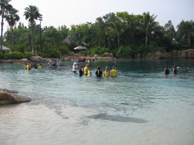 IMG9192_Zn.jpg