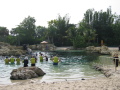 IMG9194_Zn.jpg