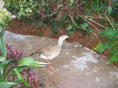 IMG9213_Zn.jpg