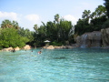 IMG9224_Zn.jpg