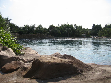 IMG9228_Zn.jpg