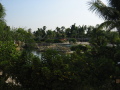IMG9238_Zn.jpg