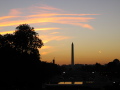 IMG0005_Zn.jpg
