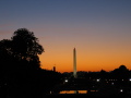 IMG0019_Zn.jpg