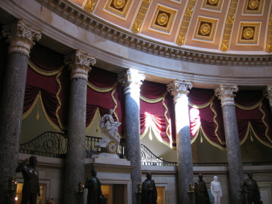IMG0063_Zn.jpg