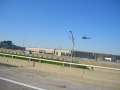 IMG0075_Zn.jpg
