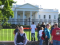 IMG9811_Zn.jpg