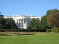 IMG9827_Zn.jpg