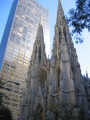 IMG0158_Zn.jpg