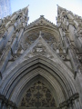 IMG0160_Zn.jpg