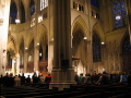 IMG0162_Zn.jpg