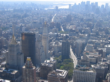 IMG0250_Zn.jpg