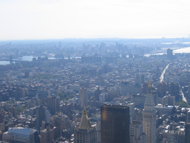 IMG0252_Zn.jpg