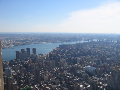 IMG0253_Zn.jpg