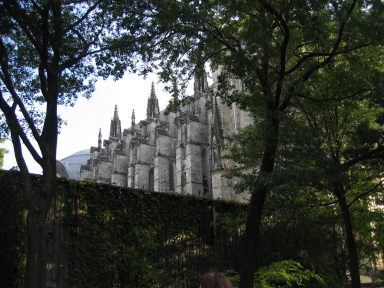 IMG0291_Zn.jpg