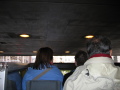 IMG0294_Zn.jpg