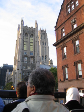 IMG0298_Zn.jpg
