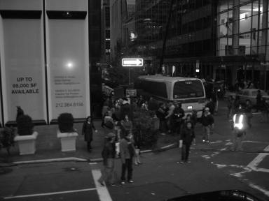 IMG0325_Zn.jpg