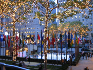 IMG0328_Zn.jpg