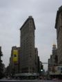 IMG0331_Zn.jpg