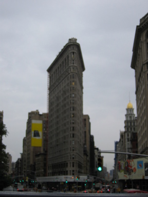 IMG0331_Zn.jpg