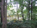 IMG0488_Zn.jpg