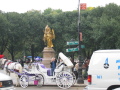 IMG0491_Zn.jpg