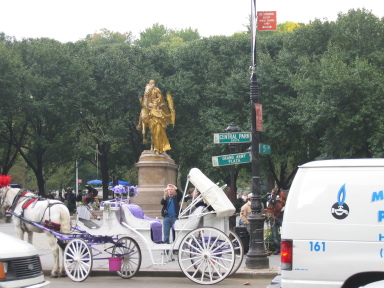 IMG0491_Zn.jpg