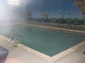 IMG0581_Zn.jpg