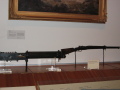 IMG3566_Zn.jpg