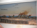IMG3569_Zn.jpg